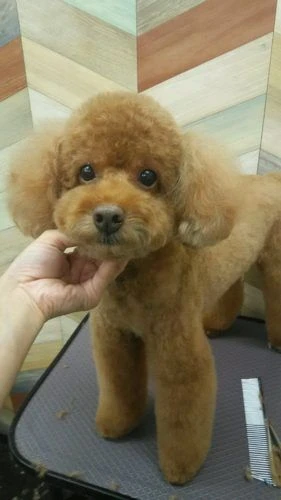 dsc_0010