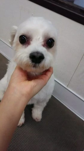 dsc_0006