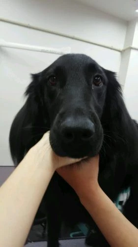 dsc_0001