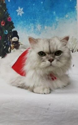 thumbnail_img_20181218_190006