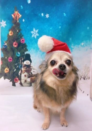 thumbnail_image2