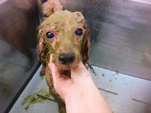 thumbnail_image1