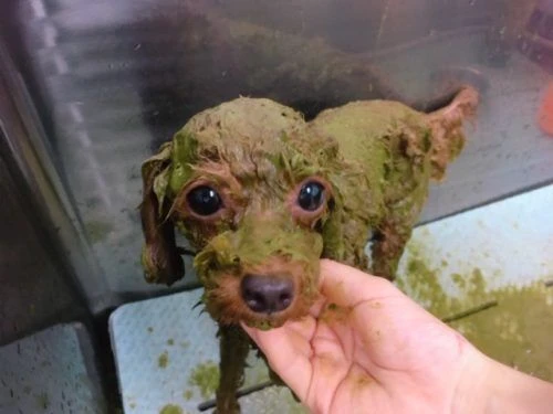 thumbnail_image1