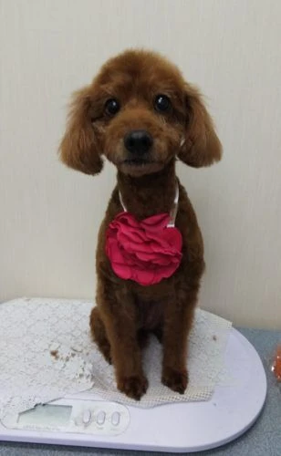 thumbnail_img_20190102_234844