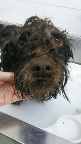dsc_0121