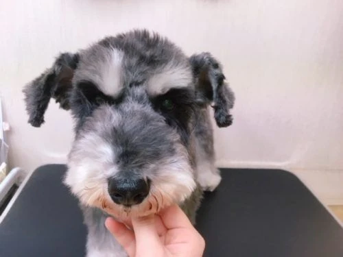 thumbnail_image3