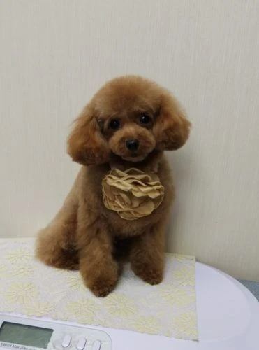 thumbnail_img_20190106_115240