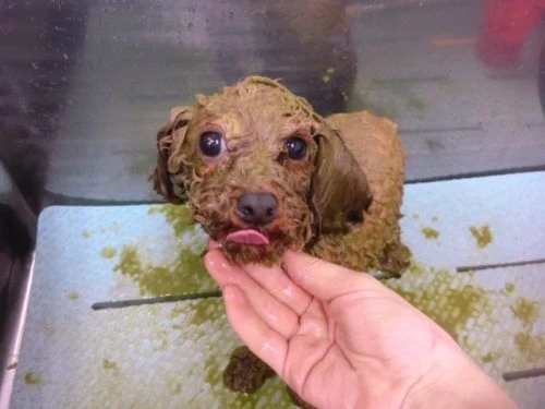 thumbnail_image3