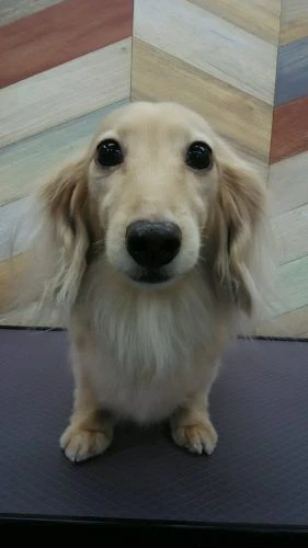 dsc_0005