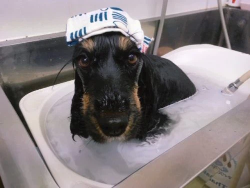 thumbnail_image1