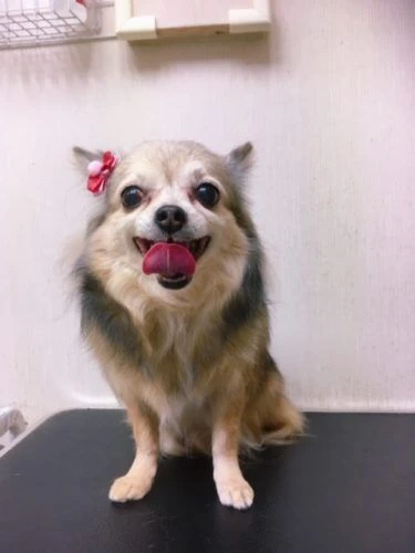 thumbnail_image1