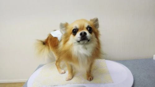 thumbnail_19-01-13-18-55-37-180_deco