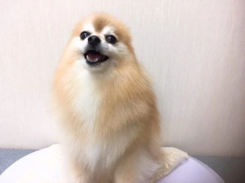 thumbnail_image2