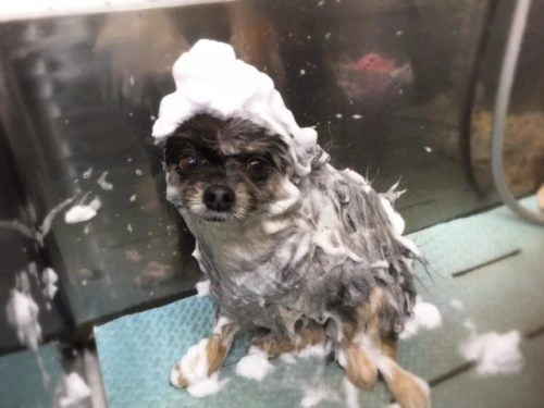 thumbnail_image1