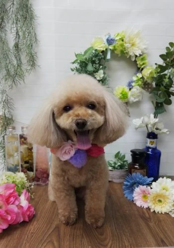 thumbnail_img_20190202_150930