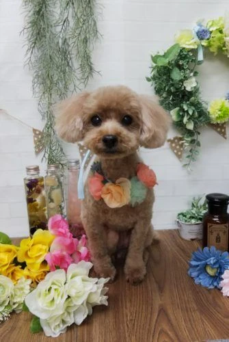 thumbnail_img_20190205_155806