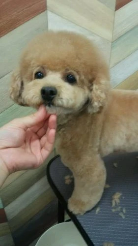 dsc_0001