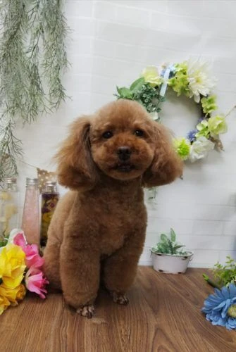 thumbnail_img_20190212_171056