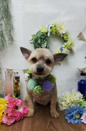 thumbnail_img_20190215_173804