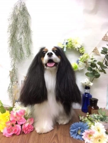 thumbnail_image1