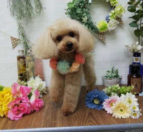 thumbnail_img_20190217_144030