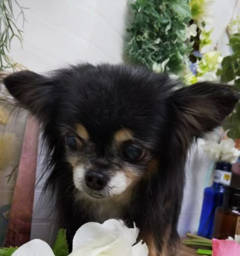 thumbnail_img_20190219_154600