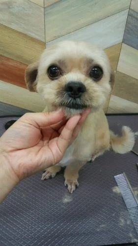 dsc_0021