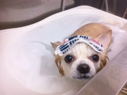 thumbnail_image2