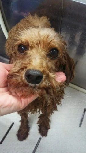 dsc_0003