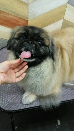 dsc_0014