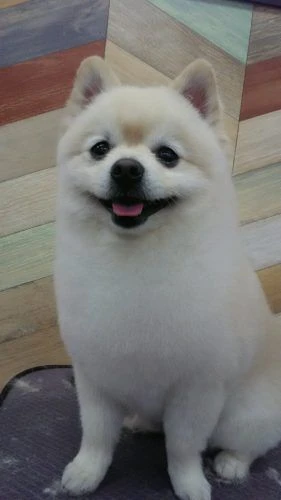 dsc_0022