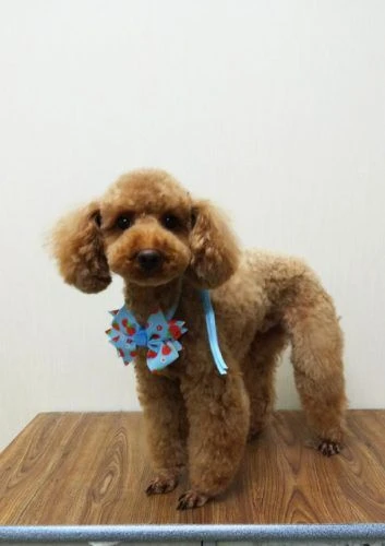 thumbnail_img_20190303_184958