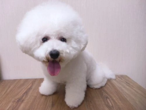 thumbnail_image2