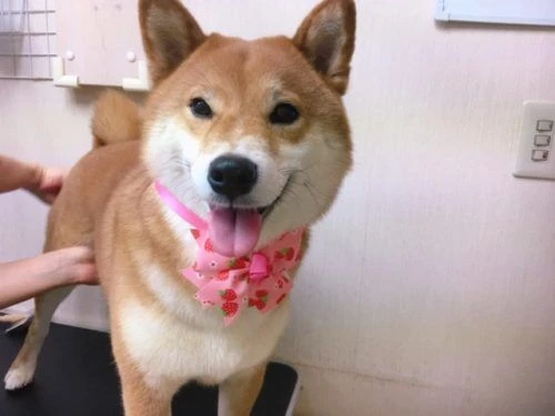 thumbnail_image3
