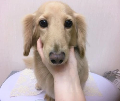 thumbnail_image2