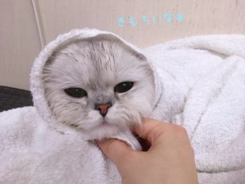thumbnail_image6