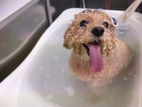 thumbnail_image1