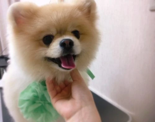 thumbnail_image4