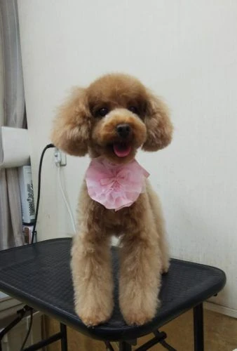 thumbnail_img_20190319_172304