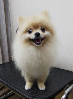 thumbnail_img_20190326_184124