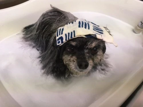 thumbnail_image1
