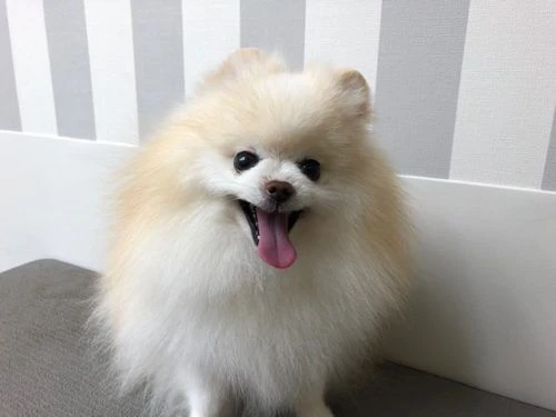 thumbnail_image1