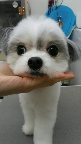 dsc_0028