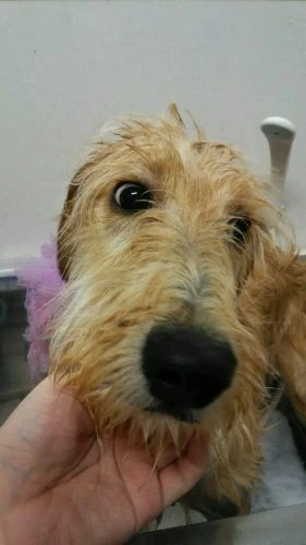 dsc_0012
