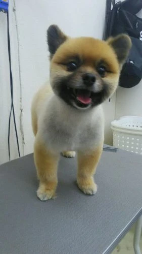 dsc_0009