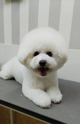 thumbnail_img_20190514_150918