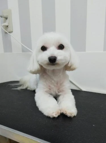 thumbnail_img_20190514_150527