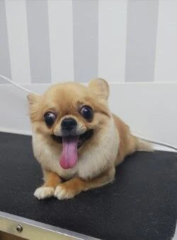 thumbnail_img_20190517_172313