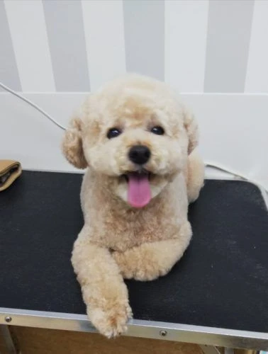 thumbnail_img_20190519_133638