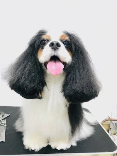 thumbnail_img_3189